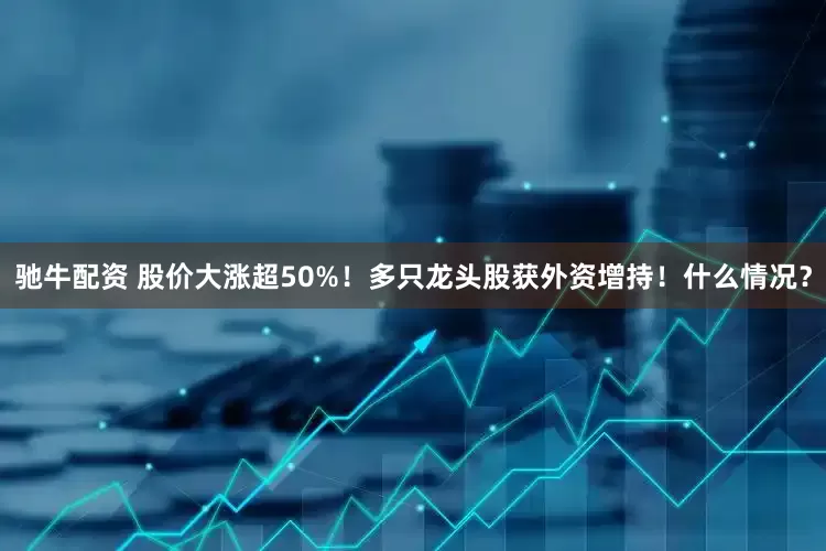 驰牛配资 股价大涨超50%！多只龙头股获外资增持！什么情况？