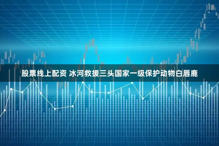 股票线上配资 冰河救援三头国家一级保护动物白唇鹿